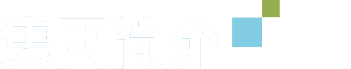 集團(tuán)簡介
